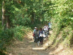 2014 Tamar Trails South