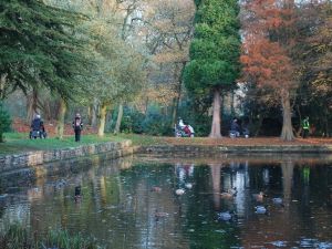 2014 Witton Park Blackburn