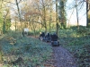 DSC_0544 (800x536)