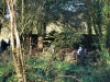 DSC_0545 (800x536)