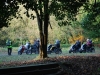DSC_0560 (800x536)