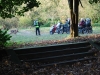DSC_0561 (800x536)