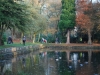 DSC_0564 (800x536)