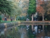 DSC_0565 (800x536)