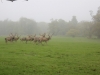 IMG_0689 (640x427)