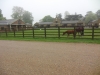 Woburn Deer Park EJC 006 (640x480)