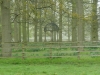 Woburn Deer Park EJC 028 (640x480)