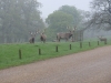 Woburn Deer Park EJC 083 (640x480)