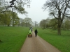 Woburn Deer Park JC 003 (640x480)