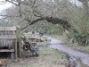 IMG_0624 (640x427)
