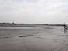 IMG_0627 (640x427)