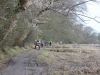IMG_0629 (640x427)