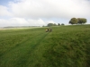 Beckford to Bredon Hill 017 (1024x768)