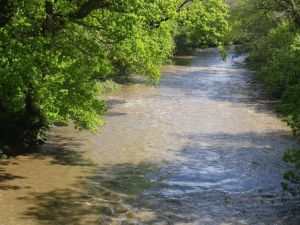2015 Blackpool Mill to Slebech House