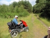 Brandon Country Park Liz 034 (800x600).jpg