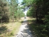 Brandon Country Park Liz 043 (800x600).jpg
