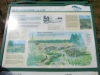 Brandon Country Park Liz 076 (800x600).jpg