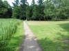 Brandon Country Park Liz 087 (800x600).jpg