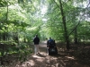 Brandon Country Park Suffolk 016 (800x600).jpg