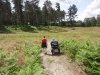 Brandon Country Park Suffolk 025 (800x600).jpg