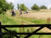2015-08-17 Bredon Hill RR 025 (1024x768)