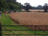 20140726_150338 (800x600)