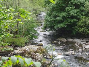 2015 Keswick Railway Ramble