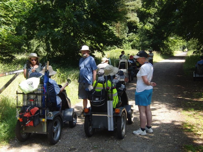 Lynford Stag 032 (800x600).jpg