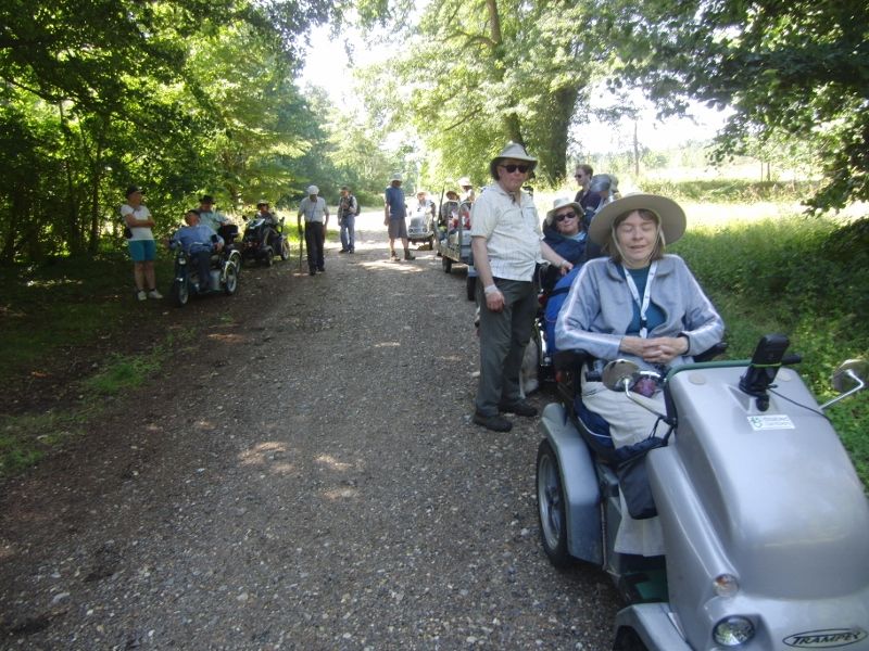 Lynford Stag 033 (800x600).jpg