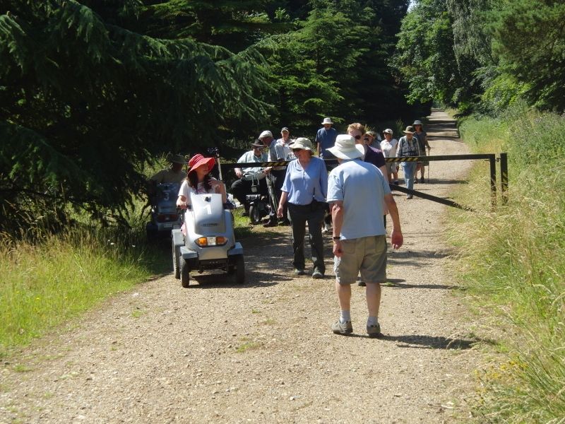 Lynford Stag 034 (800x600).jpg