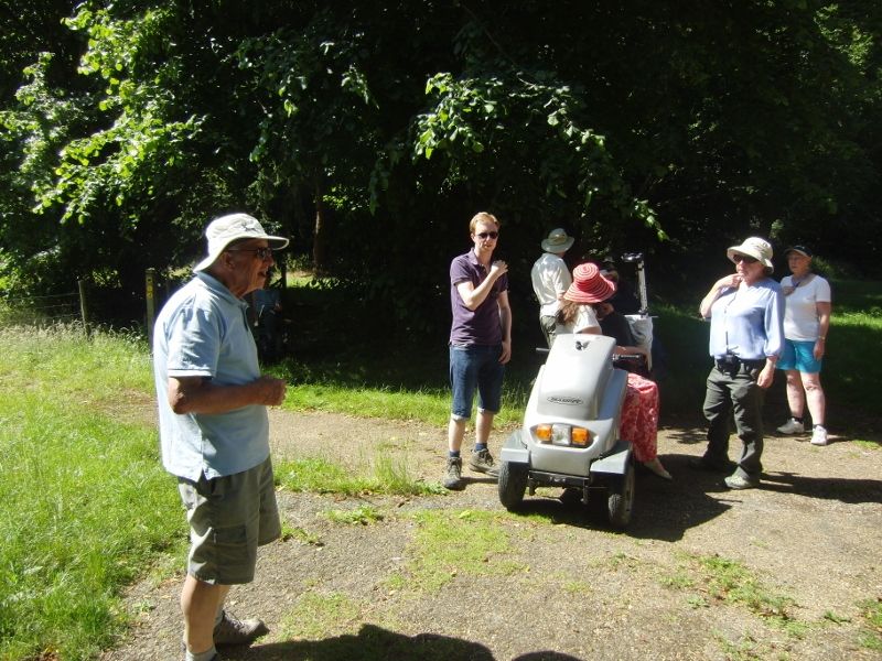 Lynford Stag 038 (800x600).jpg