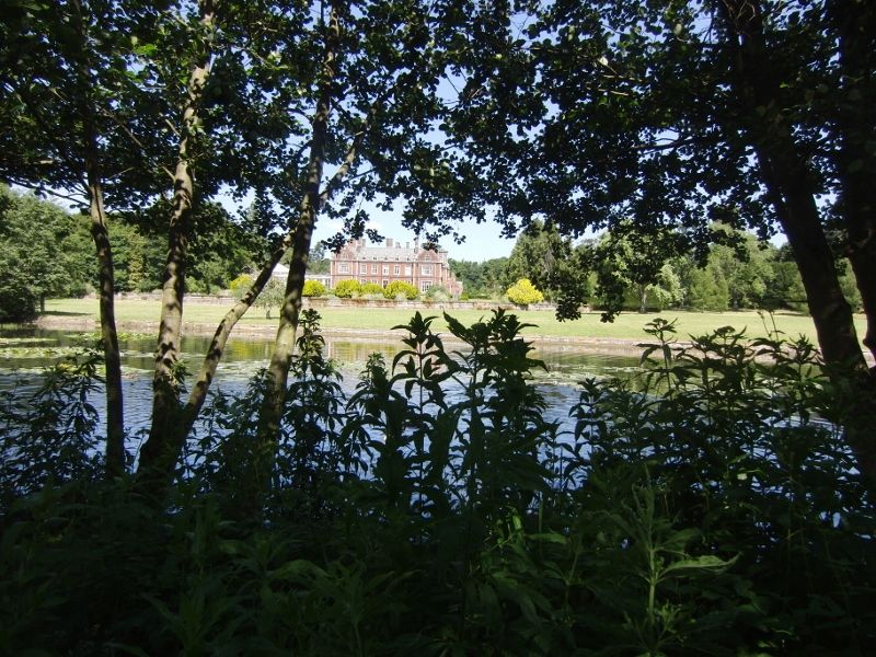 Lynford Stag 050 (800x600).jpg