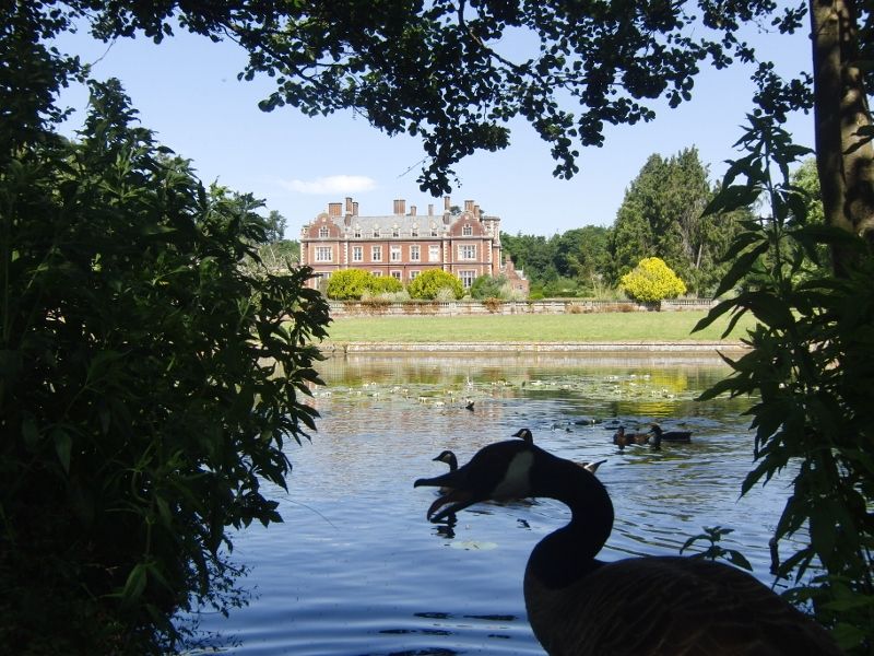 Lynford Stag 053 (800x600).jpg