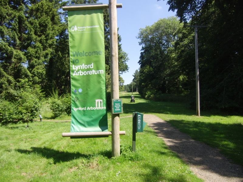 Lynford Stag 060 (800x600).jpg