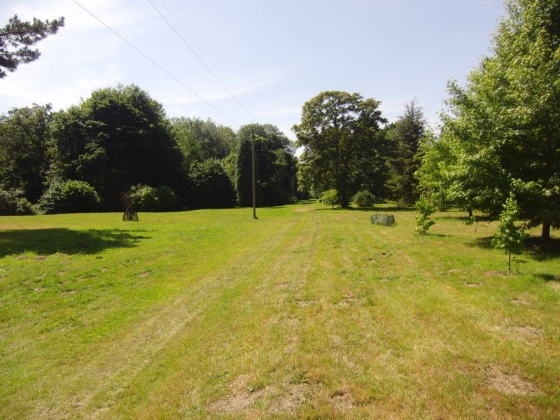 Lynford Stag 065 (800x600).jpg