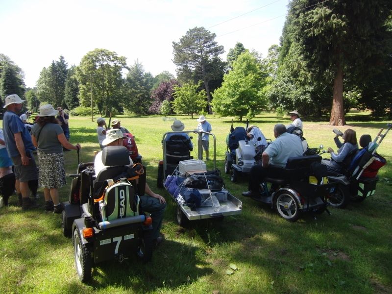 Lynford Stag 066 (800x600).jpg
