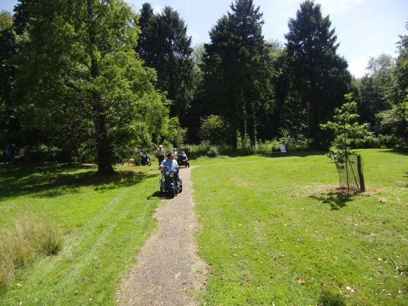 Lynford Stag 070 (800x600).jpg