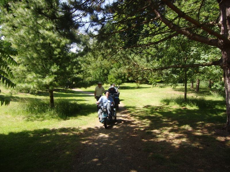 Lynford Stag 076 (800x600).jpg