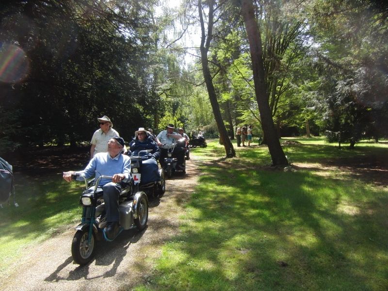 Lynford Stag 080 (800x600).jpg