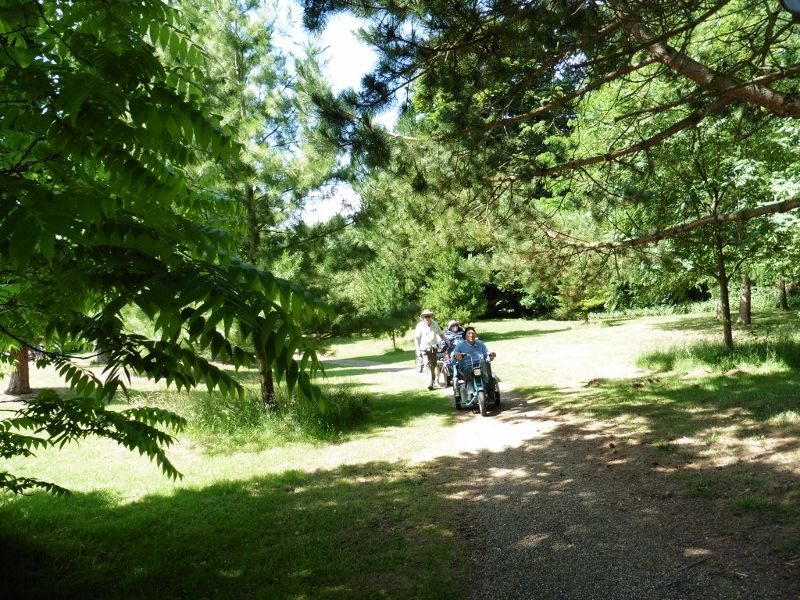 Lynford Stag Liz 011 (800x600).jpg