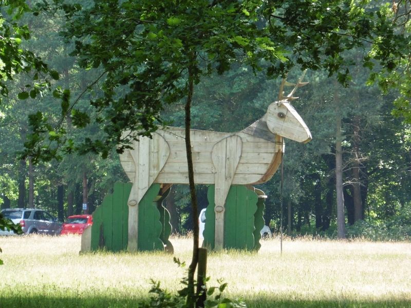 Lynford Stag Liz 025 (800x600).jpg