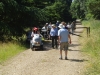Lynford Stag 034 (800x600).jpg