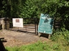 Lynford Stag 037 (800x600).jpg