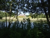 Lynford Stag 050 (800x600).jpg