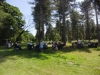 Lynford Stag 064 (800x600).jpg
