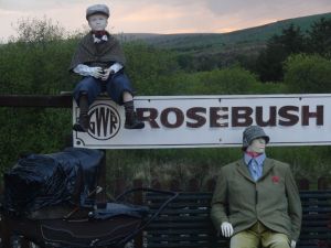 2015 Pantmaenog Forest, Rosebush