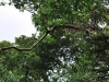 DSC_0775 (640x428)