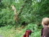 DSC_0778 (640x428)