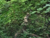DSC_0779 (640x428)