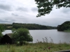 DSC_0780 (640x428)